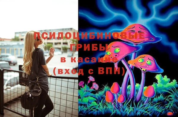 дживик Зеленокумск