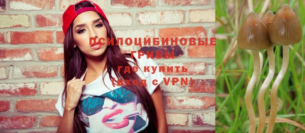 дживик Зеленокумск