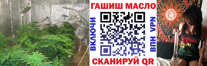 Купить закладки  Дагестанские Огни  ТГК концентрат 
