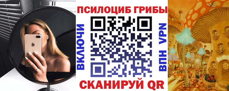 Псилоцибиновые грибы ЛСД  Купить где  Дагестанские Огни 